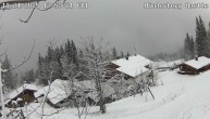Archiv Foto Webcam Reit im Winkl: Hindenburghütte - Hemmersuppenalm 11:00
