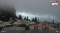 Archiv Foto Webcam Ausblick Kammerkör 10:00