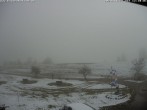 Archived image Webcam Rosshaupten: Salenberghof 11:00