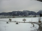 Archiv Foto Webcam Salenberghof, Rosshaupten 11:00