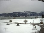 Archiv Foto Webcam Salenberghof, Rosshaupten 13:00