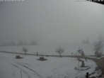 Archiv Foto Webcam Salenberghof, Rosshaupten 11:00