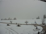 Archiv Foto Webcam Salenberghof, Rosshaupten 13:00