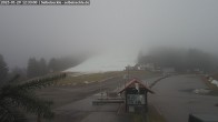 Archiv Foto Webcam Seibelseckle Blick auf die Piste 11:00