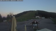 Archiv Foto Webcam Seibelseckle Blick auf die Piste 19:00