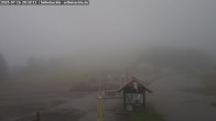 Archiv Foto Webcam Seibelseckle Blick auf die Piste 19:00