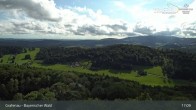 Archiv Foto Webcam Grafenau - Blick über die Stadt 16:00