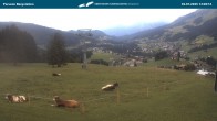 Archiv Foto Webcam Berstation Parsennbahn 13:00