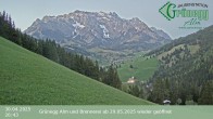 Archiv Foto Webcam Dienten: Ausblick Grünegg Alm 19:00