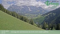 Archiv Foto Webcam Dienten: Ausblick Grünegg Alm 09:00