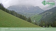 Archived image Webcam Dienten - View Grünegg Alm 15:00