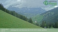 Archived image Webcam Dienten - View Grünegg Alm 19:00