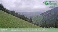 Archived image Webcam Dienten - View Grünegg Alm 05:00
