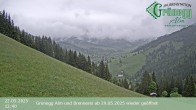 Archived image Webcam Dienten - View Grünegg Alm 11:00