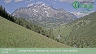 Archiv Foto Webcam Dienten: Ausblick Grünegg Alm 15:00