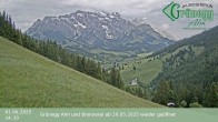 Archiv Foto Webcam Dienten: Ausblick Grünegg Alm 13:00