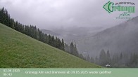 Archiv Foto Webcam Dienten: Ausblick Grünegg Alm 05:00