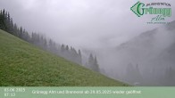 Archiv Foto Webcam Dienten: Ausblick Grünegg Alm 13:00