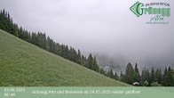 Archiv Foto Webcam Dienten: Ausblick Grünegg Alm 14:00