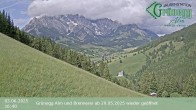 Archiv Foto Webcam Dienten: Ausblick Grünegg Alm 15:00