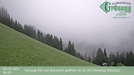 Archiv Foto Webcam Dienten: Ausblick Grünegg Alm 05:00