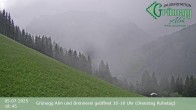 Archiv Foto Webcam Dienten: Ausblick Grünegg Alm 17:00