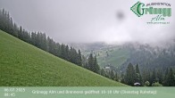 Archiv Foto Webcam Dienten: Ausblick Grünegg Alm 07:00