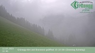 Archiv Foto Webcam Dienten: Ausblick Grünegg Alm 11:00