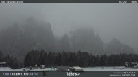 Archived image Webcam Dirupi di Larséc 15:00