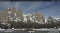 Archived image Webcam Dirupi di Larséc 11:00