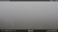 Archiv Foto Webcam Val di Fassa - Dirupi di Larséc 12:00