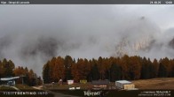 Archived image Webcam Dirupi di Larséc 11:00