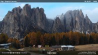 Archived image Webcam Dirupi di Larséc 15:00