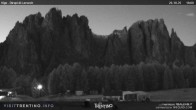 Archived image Webcam Dirupi di Larséc 17:00