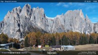 Archived image Webcam Dirupi di Larséc 11:00