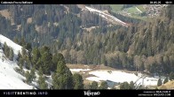 Archiv Foto Webcam Pozza-Buffaure 09:00