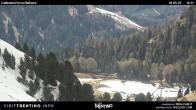 Archiv Foto Webcam Pozza-Buffaure 13:00