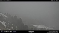 Archiv Foto Webcam Pozza-Buffaure 09:00
