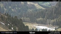Archiv Foto Webcam Pozza-Buffaure 11:00
