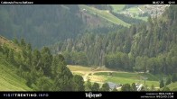 Archiv Foto Webcam Pozza-Buffaure 11:00