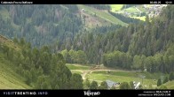 Archiv Foto Webcam Pozza-Buffaure 11:00