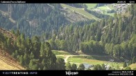 Archiv Foto Webcam Pozza-Buffaure 11:00