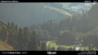 Archiv Foto Webcam Pozza-Buffaure 17:00