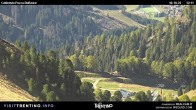 Archiv Foto Webcam Pozza-Buffaure 11:00