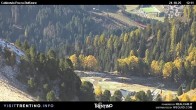 Archiv Foto Webcam Pozza-Buffaure 11:00