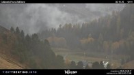 Archiv Foto Webcam Pozza-Buffaure 11:00