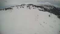 Archiv Foto Webcam Mutta Richtung Alp Raguta 09:00