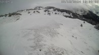 Archived image Webcam Mutta - Alp Raguta 11:00