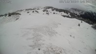 Archived image Webcam Mutta - Alp Raguta 13:00