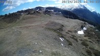 Archived image Webcam Mutta - Alp Raguta 09:00